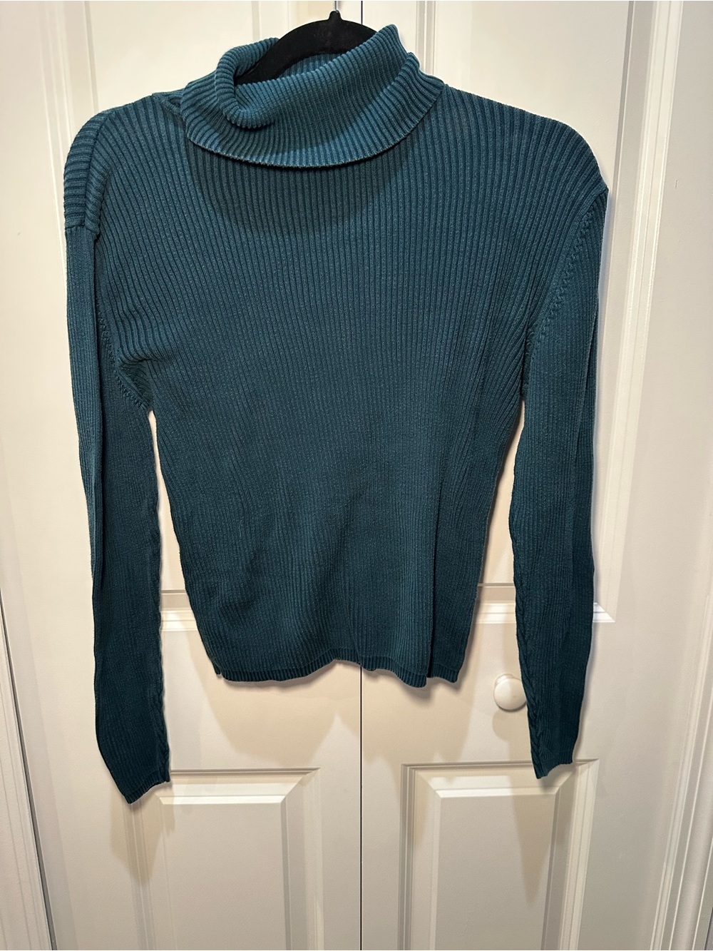 Georgio Studio 100% Silk Teal Ribbed Turtleneck Size S
